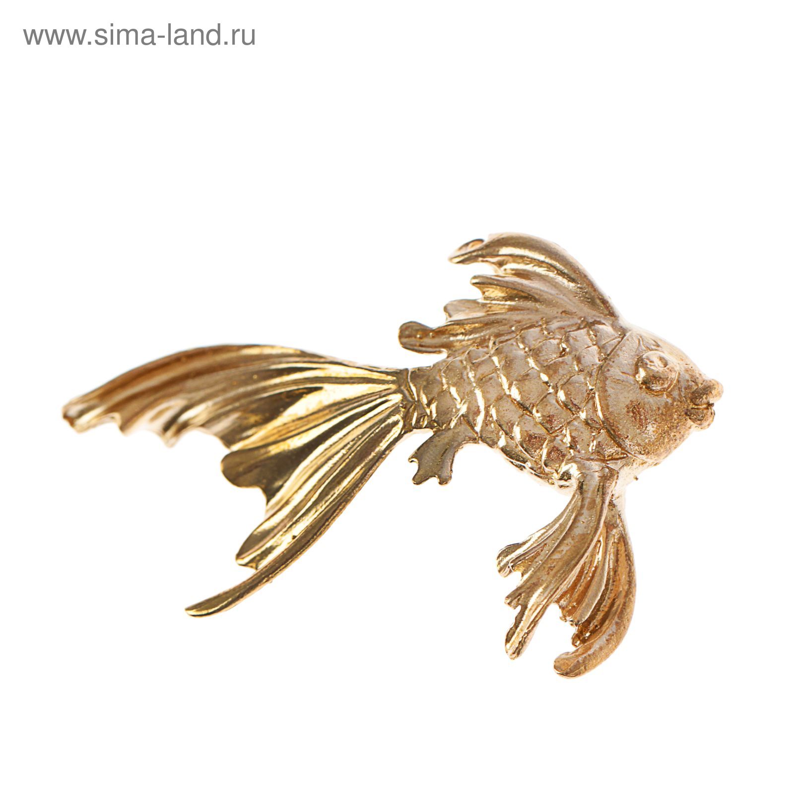 Золотая Рыбка Рыболовный Интернет Магазин Москва
